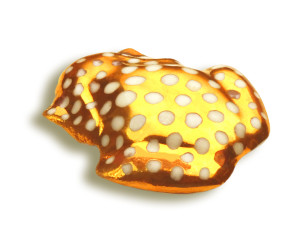 Ansteckschmuck 